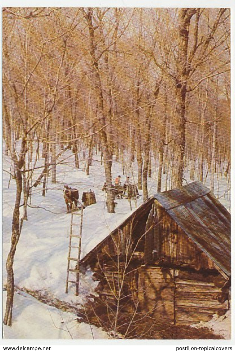 Postal Stationery Canada Maple Sugar Bush - Horse - Bäume