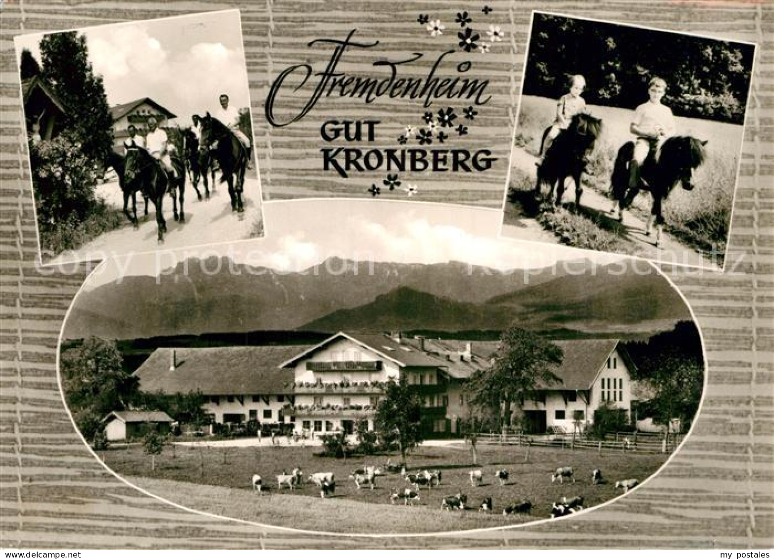 72941139 Kronberg Hoeslwang Fremdenheim Reiterhof Gut Kronberg  Kronberg Hoeslwa - Andere & Zonder Classificatie