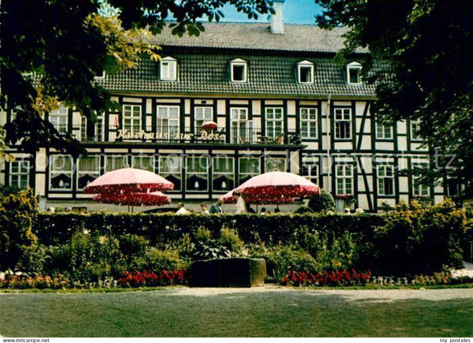 72940802 Bad Meinberg Kurhaus Zur Rose Bad Meinberg - Bad Meinberg