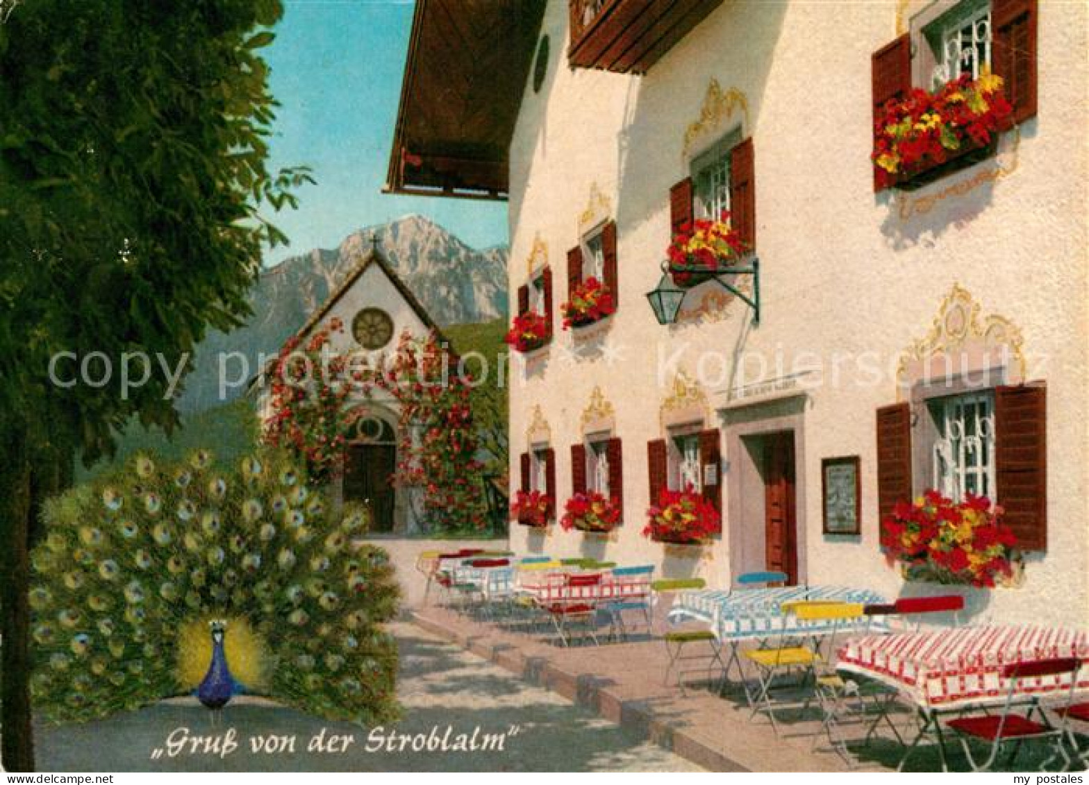 72940737 Bad Reichenhall Stroblalm Hoegl Hochstaufen Bad Reichenhall - Bad Reichenhall