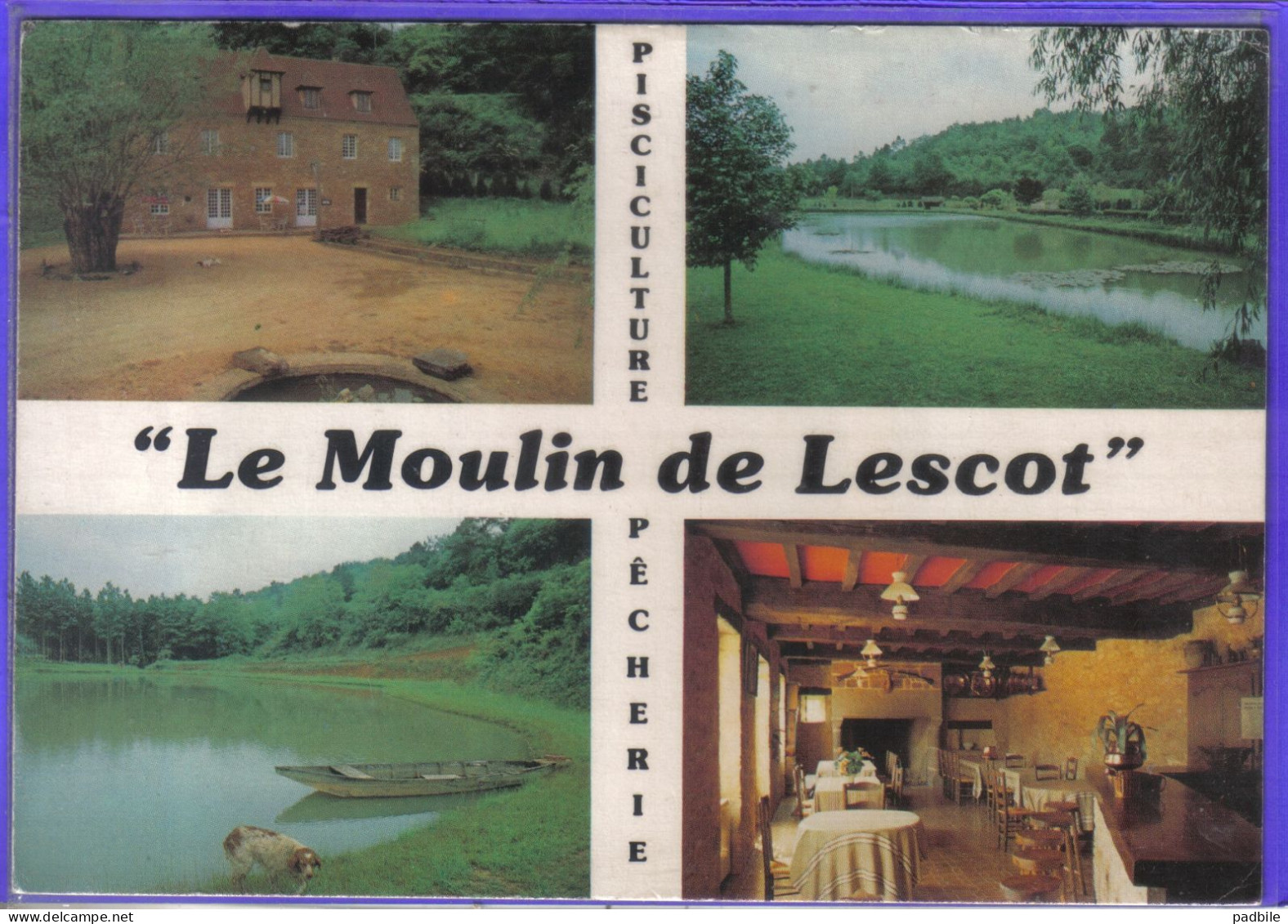 Carte Postale 24. Belvès  Pisciculture Des Sources De La Nauze  Claude Delpech  Prop.  Moulin De Lescot - Sonstige & Ohne Zuordnung