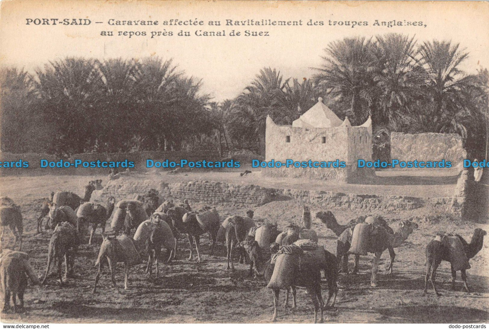 R086593 Port Said. Caravane Affectee Au Ravitaillement Des Troupes Anglaises - Monde