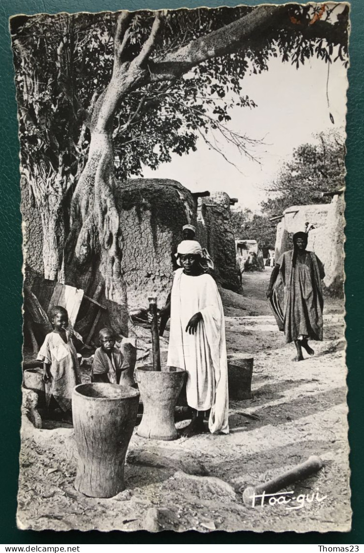 Scene De Vie Dans Un Village, Ed Mechain, N° 567 - Mali