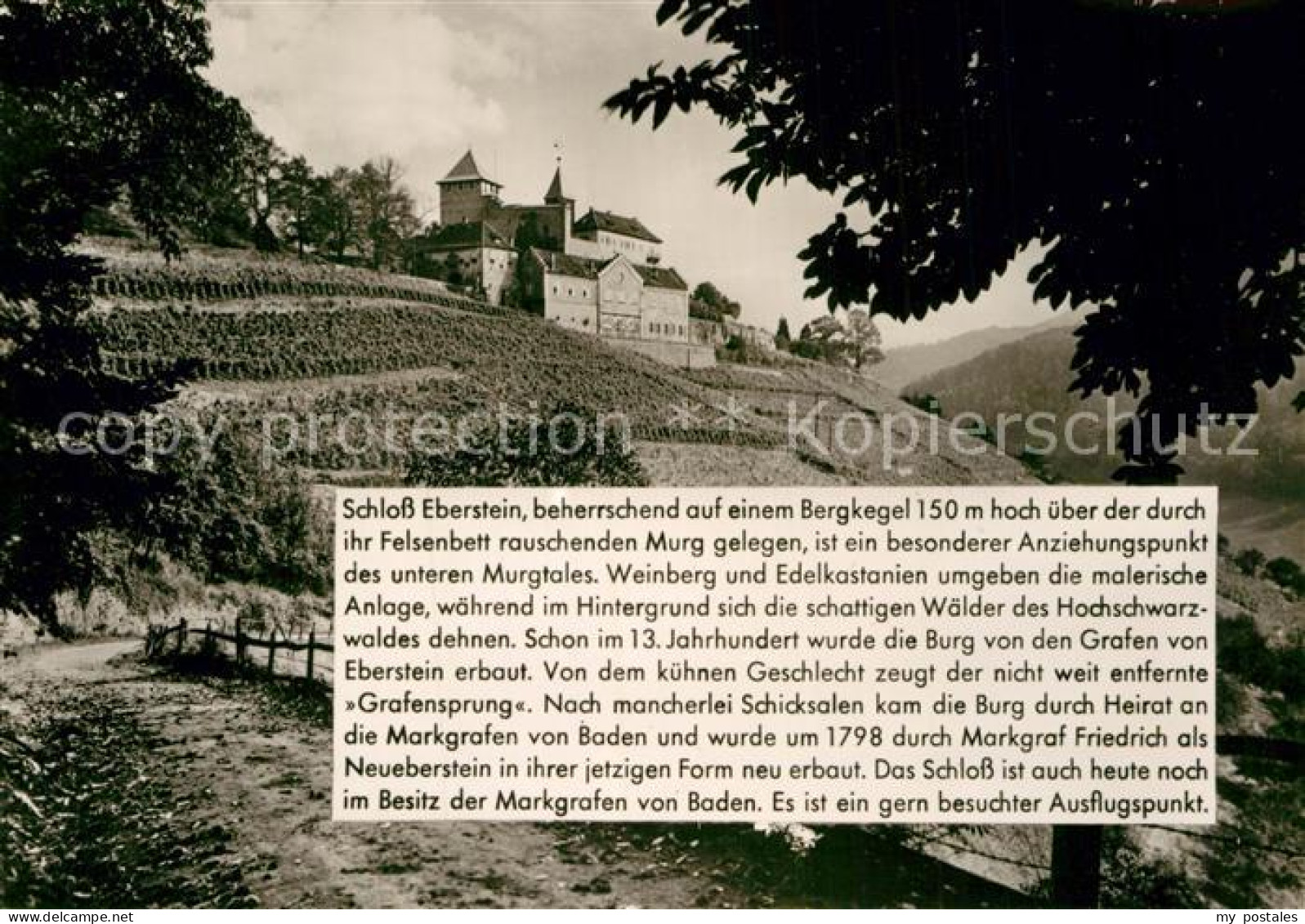 72938437 Schloss Eberstein  Schloss Eberstein - Gernsbach