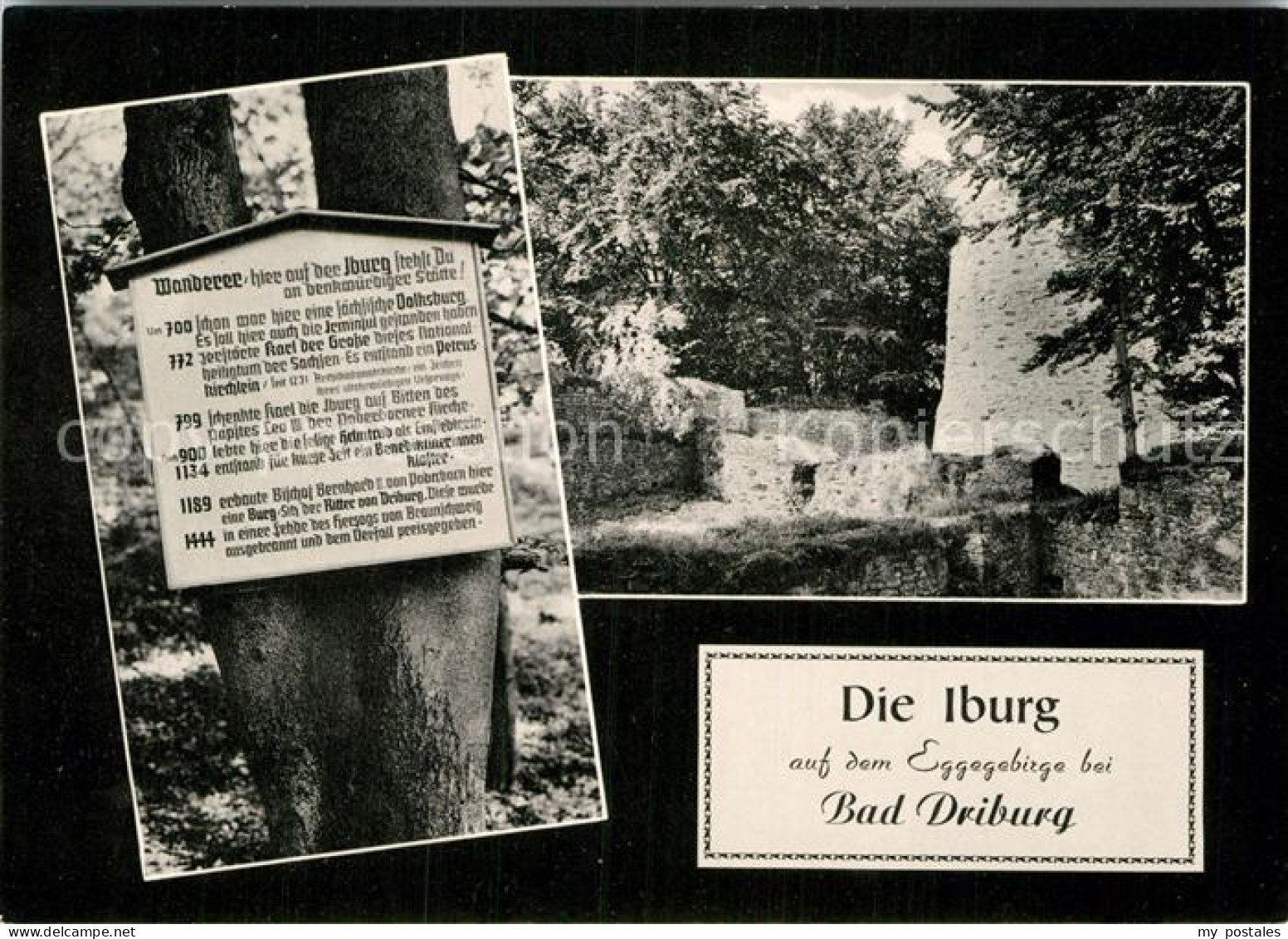 72938261 Bad Driburg Iburg Eggegebirge Wander Informationsschild Alhausen - Bad Driburg