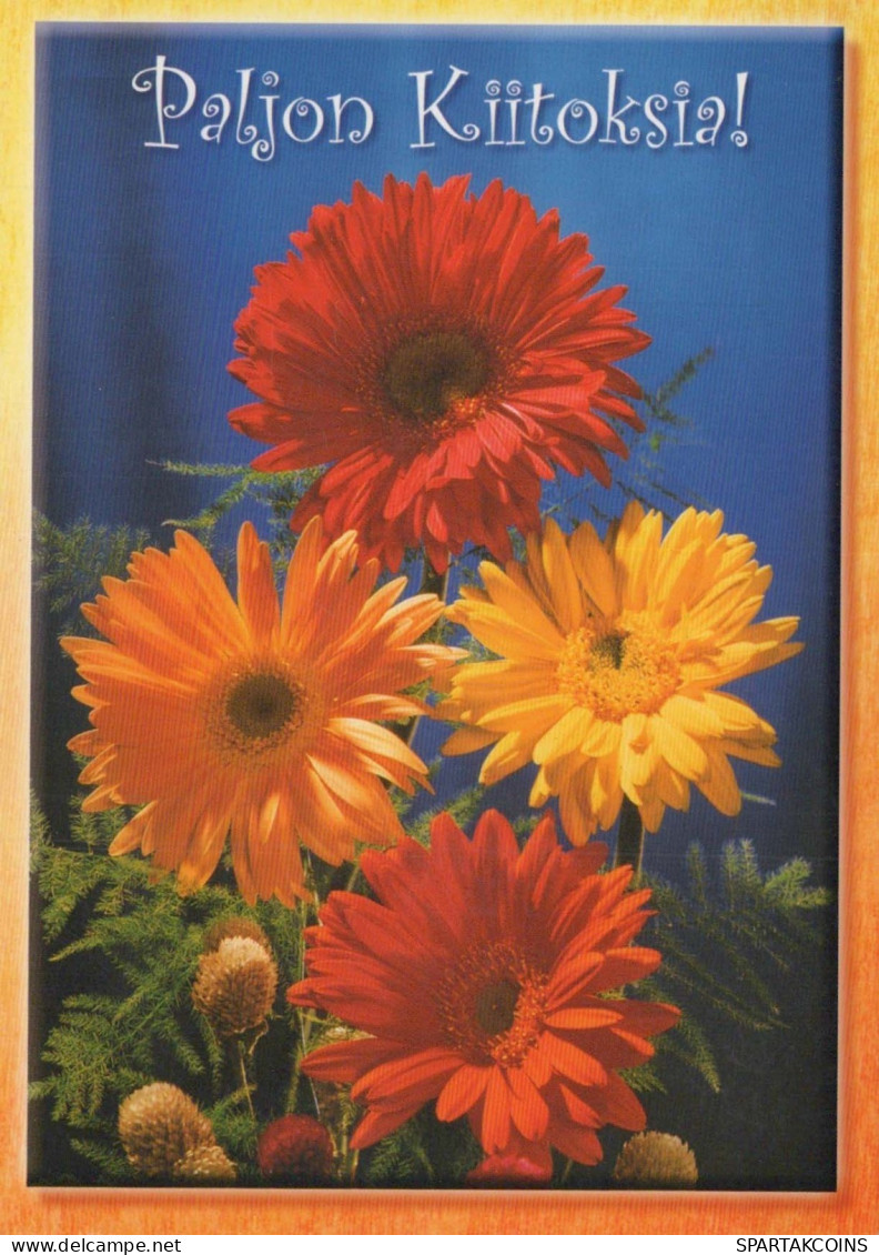 FIORI Vintage Cartolina CPSM #PBZ074.IT - Flores