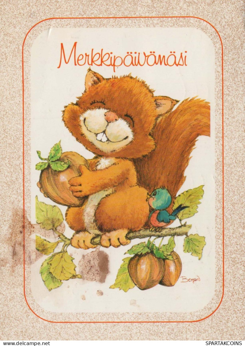 SCOIATTOLO Animale Vintage Cartolina CPSM #PBS717.IT - Andere & Zonder Classificatie