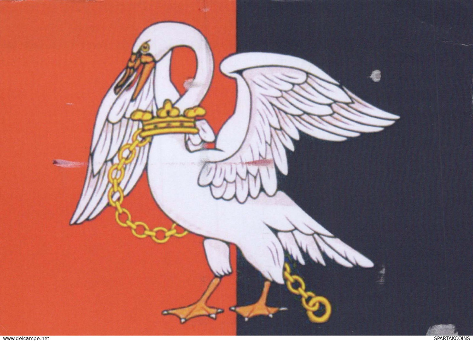 UCCELLO Animale Vintage Cartolina CPSM #PBR544.IT - Oiseaux