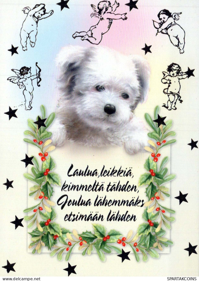 CANE Animale Vintage Cartolina CPSM #PBQ638.IT - Hunde