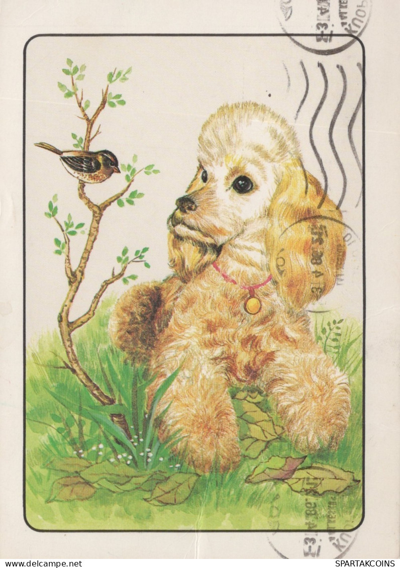 CANE Animale Vintage Cartolina CPSM #PAN543.IT - Chiens