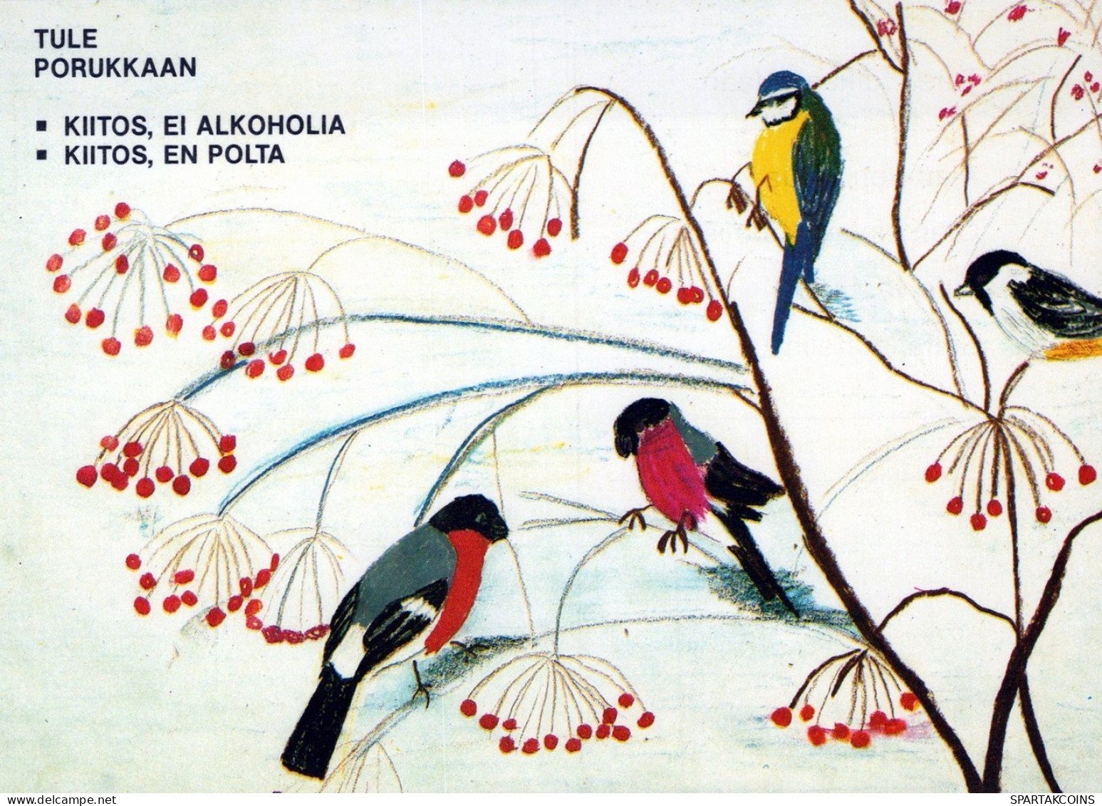 UCCELLO Animale Vintage Cartolina CPSM #PAN229.IT - Vögel