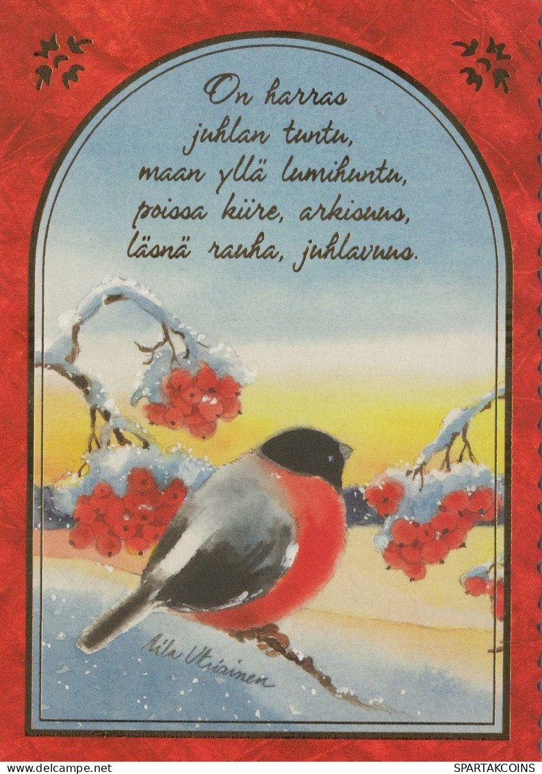 UCCELLO Animale Vintage Cartolina CPSM #PAN045.IT - Oiseaux