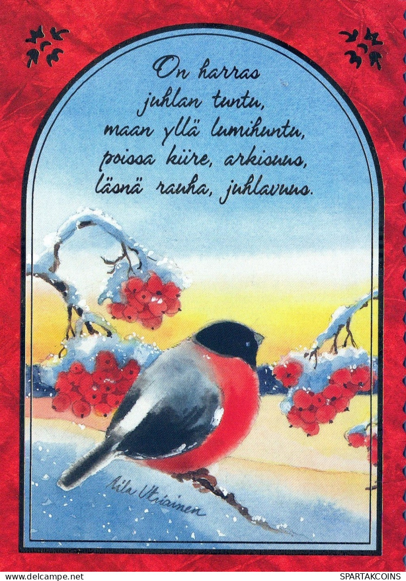 UCCELLO Animale Vintage Cartolina CPSM #PAN045.IT - Oiseaux