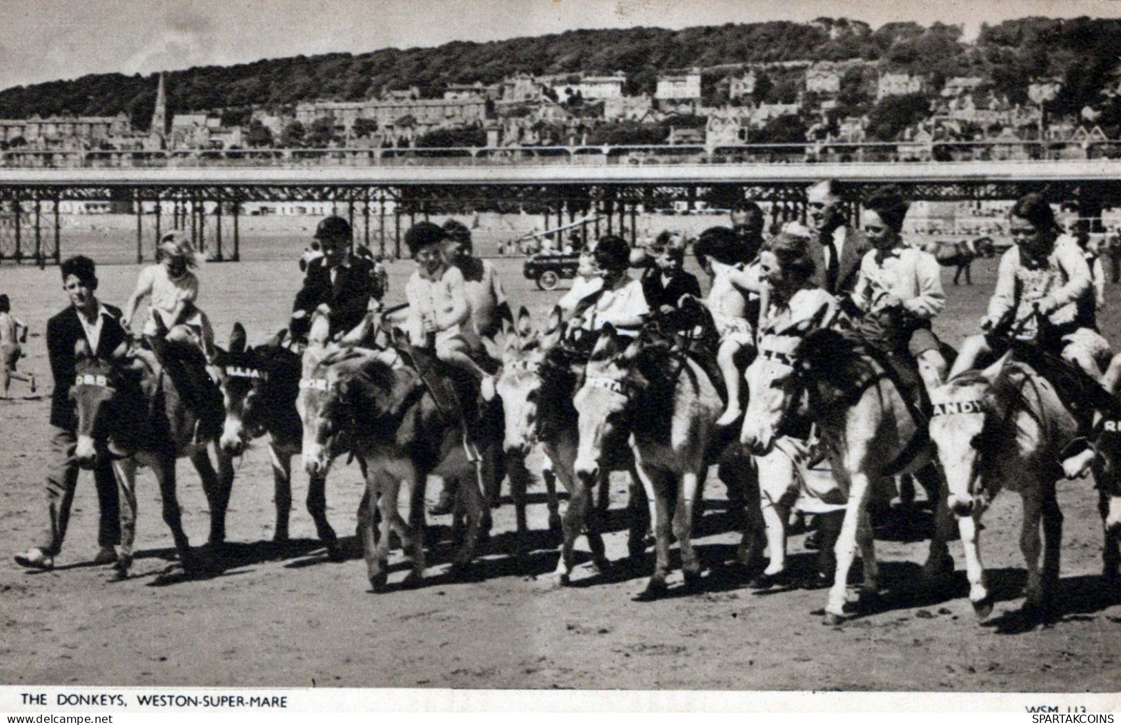 DONKEY Animals Vintage Antique Old CPA Postcard #PAA043.GB - Donkeys