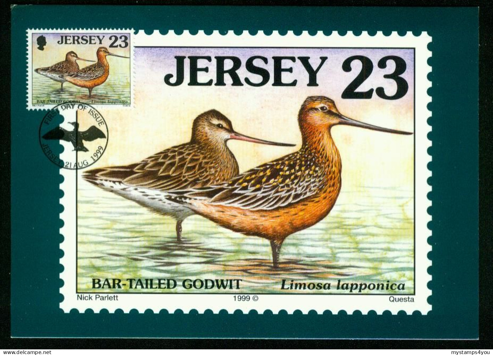 Mk Jersey Maximum Card 1999 MiNr 896 | Seabirds And Waders. Bar-tailed Godwit #max-0065 - Jersey