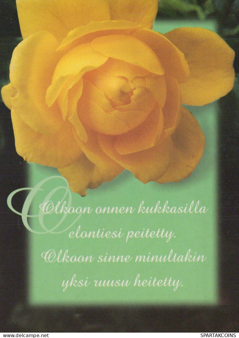 FLOWERS Vintage Postcard CPSM #PBZ670.GB - Blumen