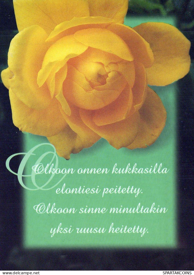 FLOWERS Vintage Postcard CPSM #PBZ670.GB - Blumen