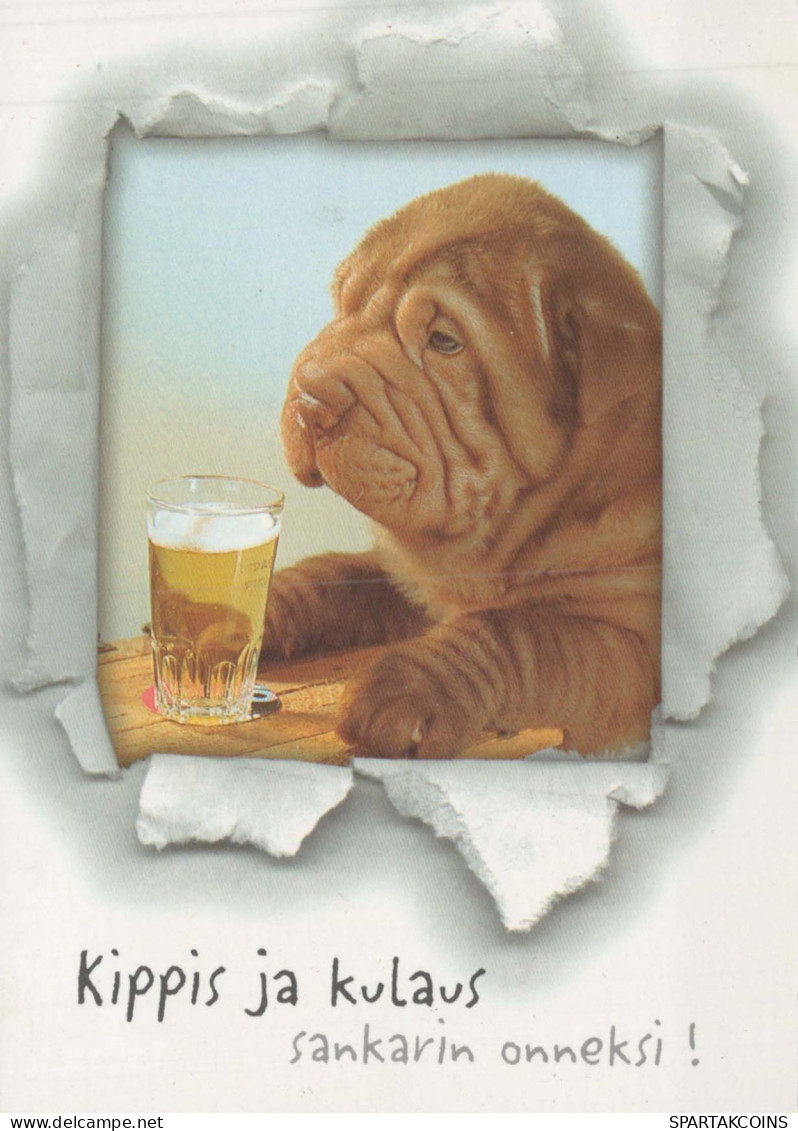 DOG Animals Vintage Postcard CPSM #PBQ564.GB - Dogs