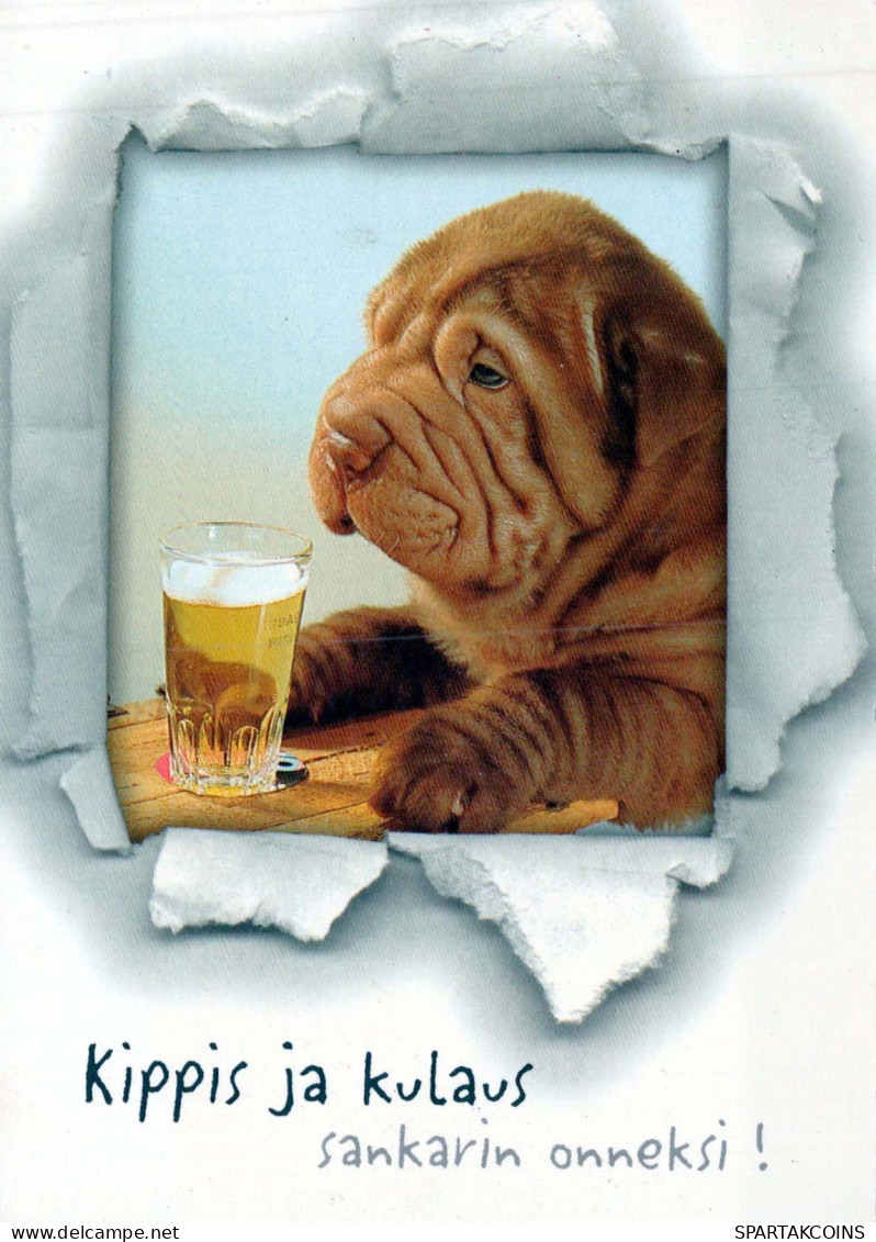 DOG Animals Vintage Postcard CPSM #PBQ564.GB - Hunde