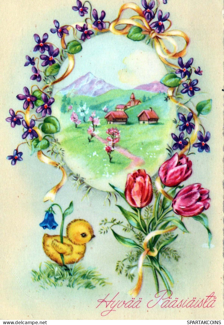 EASTER CHICKEN EGG Vintage Postcard CPSM #PBP097.GB - Pâques