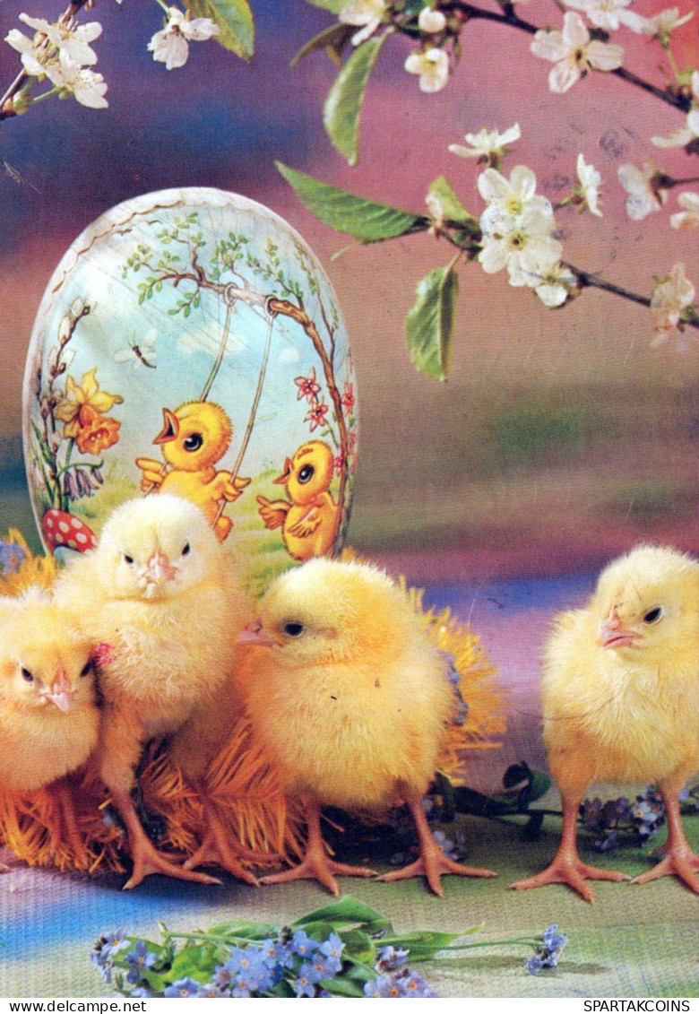 EASTER CHICKEN EGG Vintage Postcard CPSM #PBO844.GB - Pâques