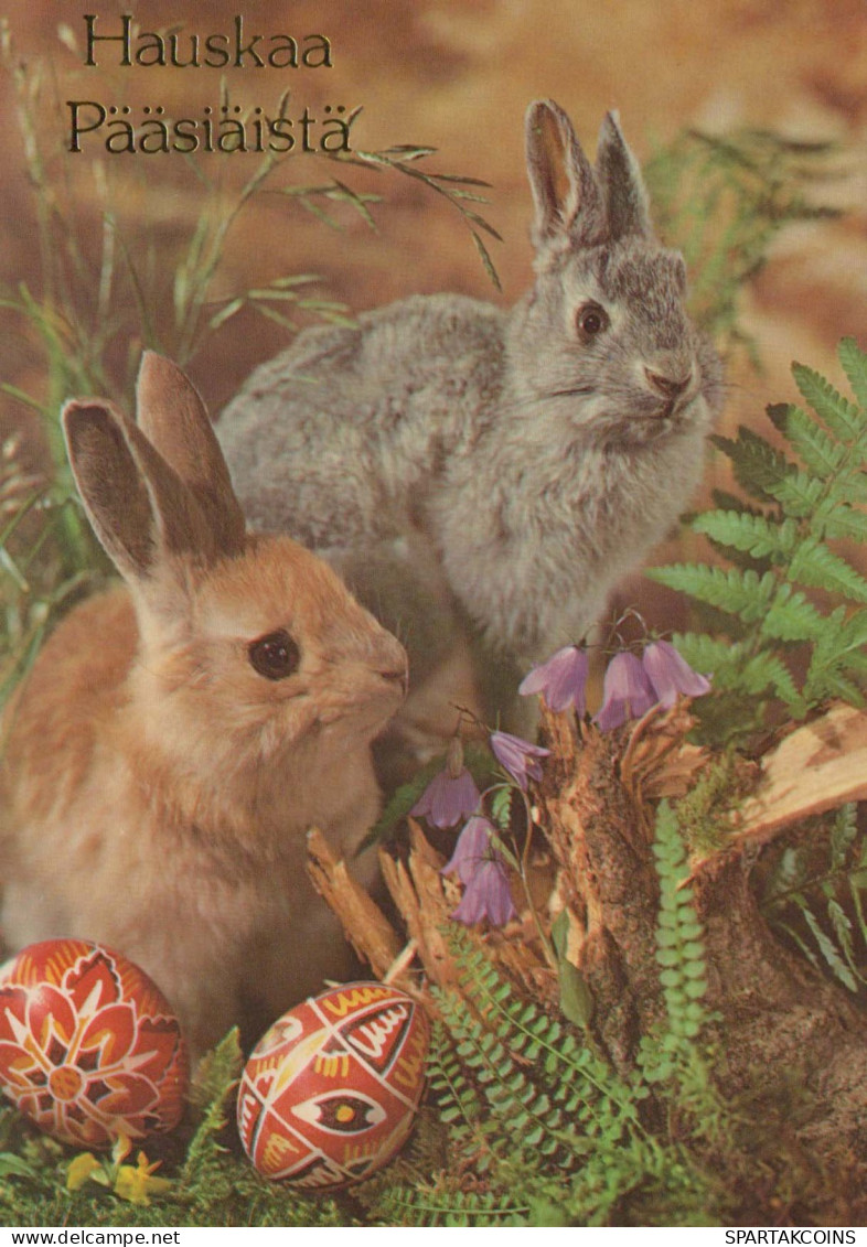 EASTER RABBIT EGG Vintage Postcard CPSM #PBO531.GB - Pâques