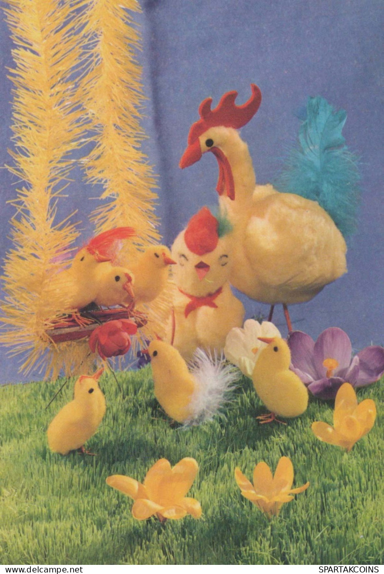 EASTER CHICKEN EGG Vintage Postcard CPSM #PBO778.GB - Pâques