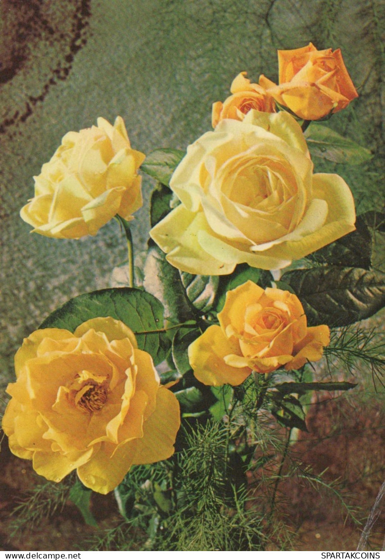 FLOWERS Vintage Postcard CPSM #PAS565.GB - Blumen