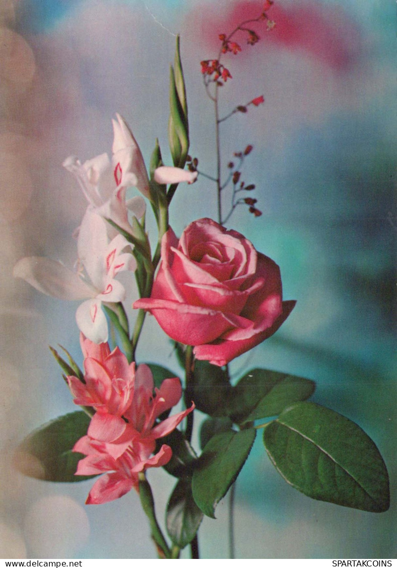 FLOWERS Vintage Postcard CPSM #PAS263.GB - Flowers