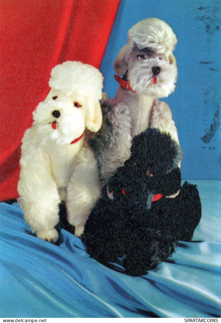 DOG Animals Vintage Postcard CPSM #PAN737.GB - Hunde