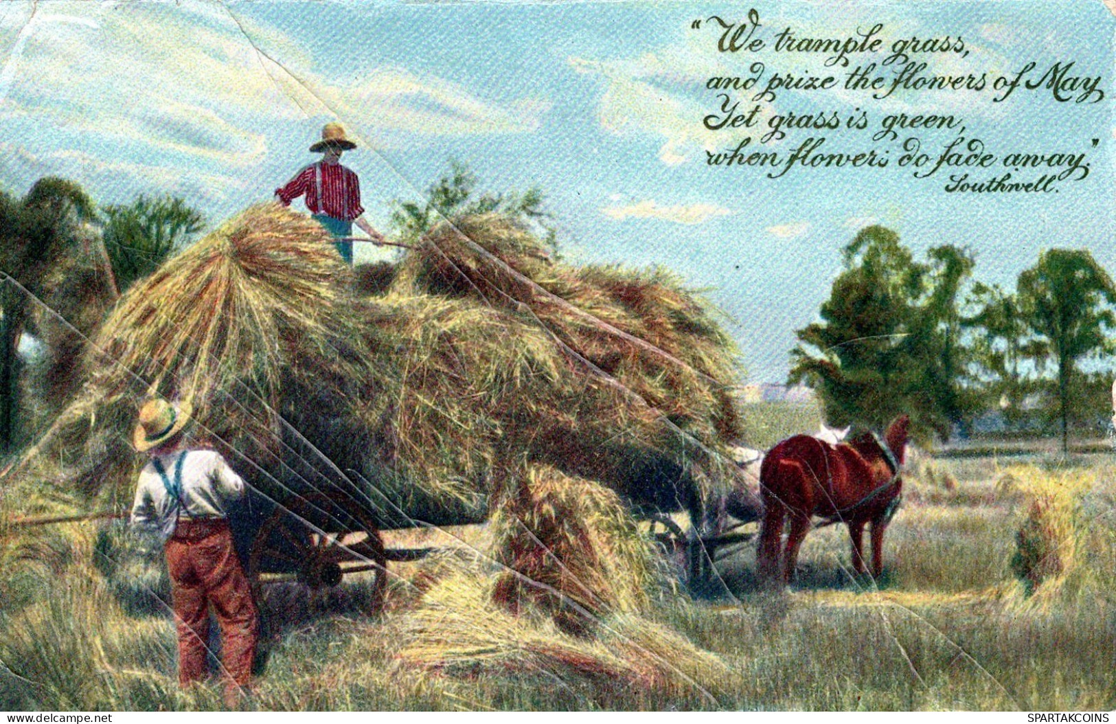 ÂNE Animaux Vintage Antique CPA Carte Postale #PAA146.FR - Donkeys