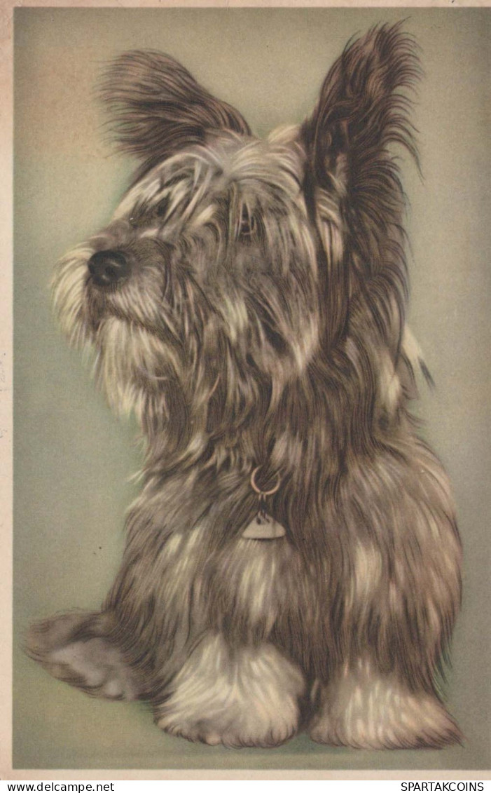 CHIEN Animaux Vintage Carte Postale CPA #PKE793.FR - Honden