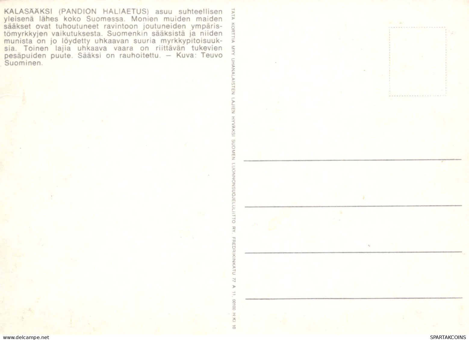 OISEAU Animaux Vintage Carte Postale CPSM #PBR481.FR - Birds