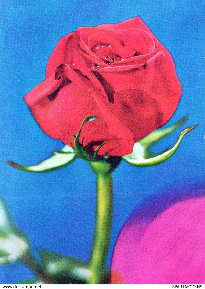 FLEURS Vintage Carte Postale CPSM #PAS325.FR - Flowers