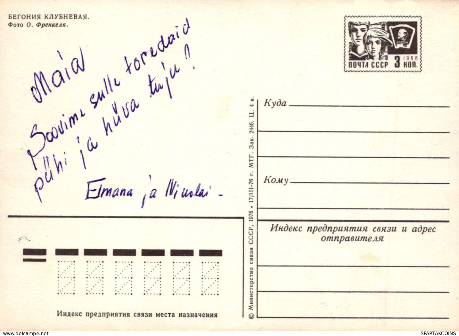 FLEURS Vintage Carte Postale CPSM #PAR424.FR - Fleurs