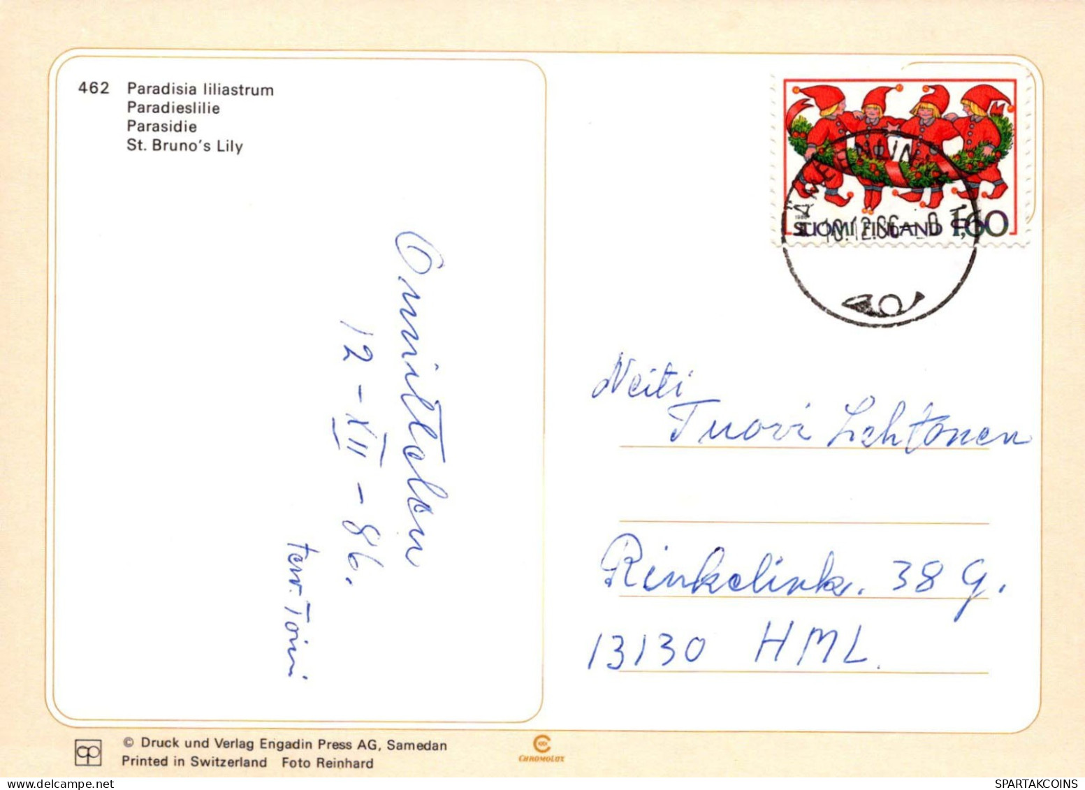 FLEURS Vintage Carte Postale CPSM #PAR243.FR - Bloemen