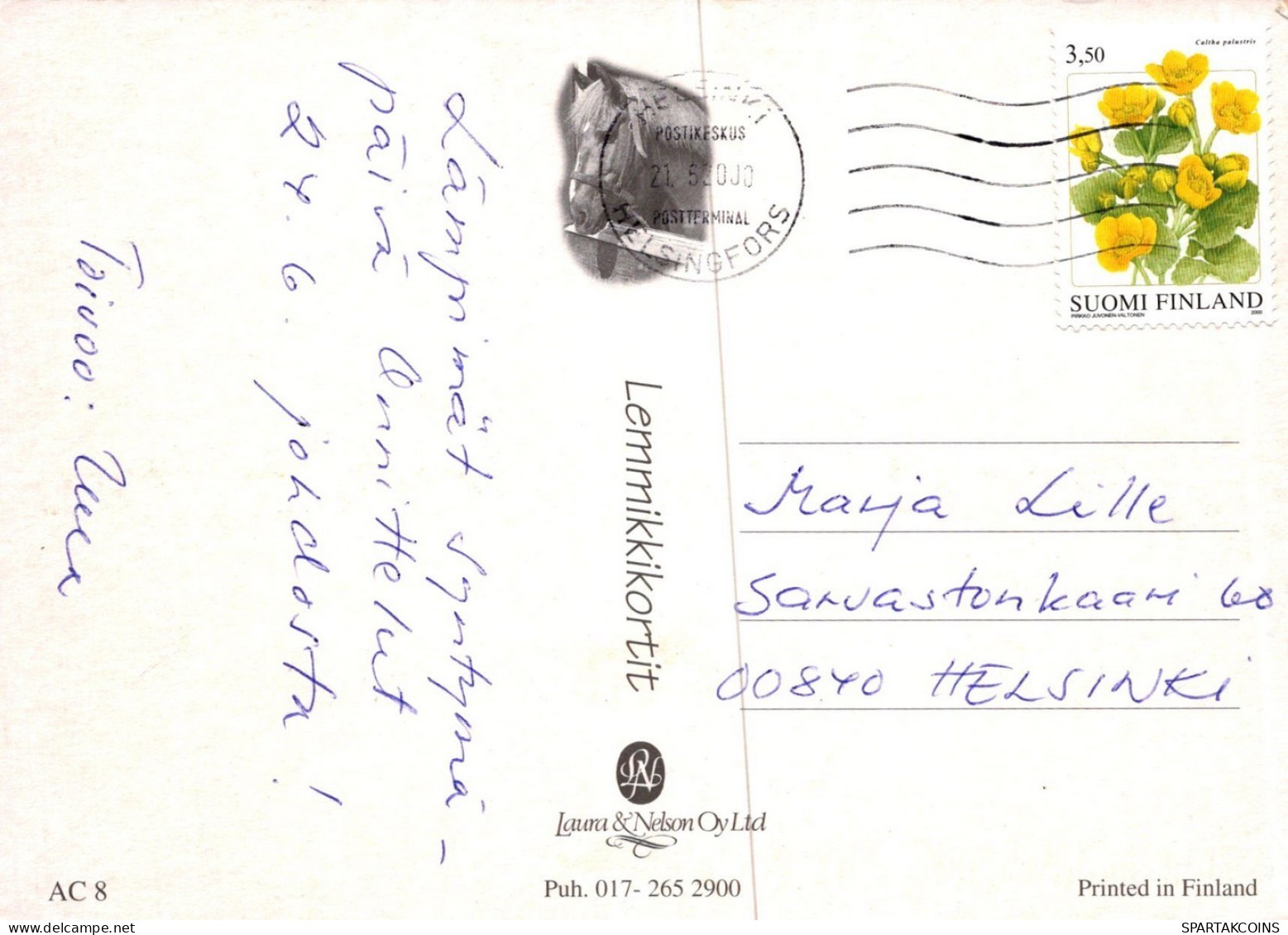 CHAT CHAT Animaux Vintage Carte Postale CPSM #PAM351.FR - Katzen