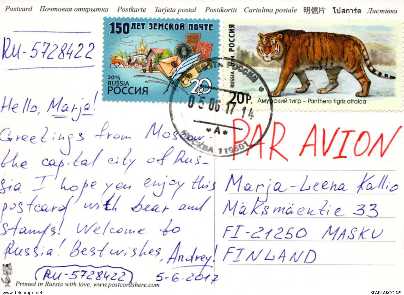 OSO Animales Vintage Tarjeta Postal CPSM #PBS272.ES - Bears