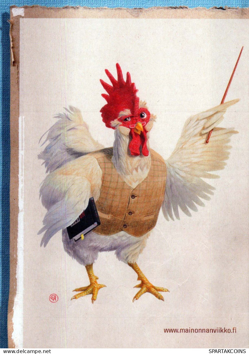 PÁJARO Animales Vintage Tarjeta Postal CPSM #PBR734.ES - Birds