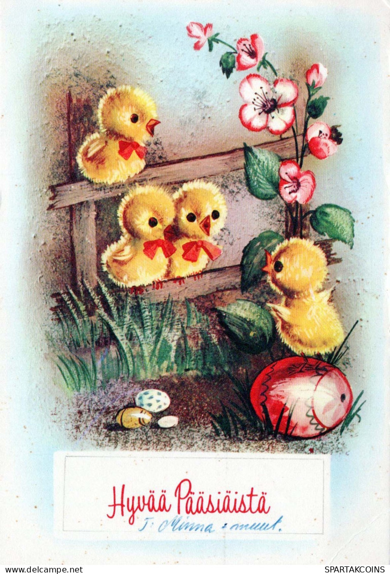 PASCUA POLLO HUEVO Vintage Tarjeta Postal CPSM #PBO845.ES - Easter