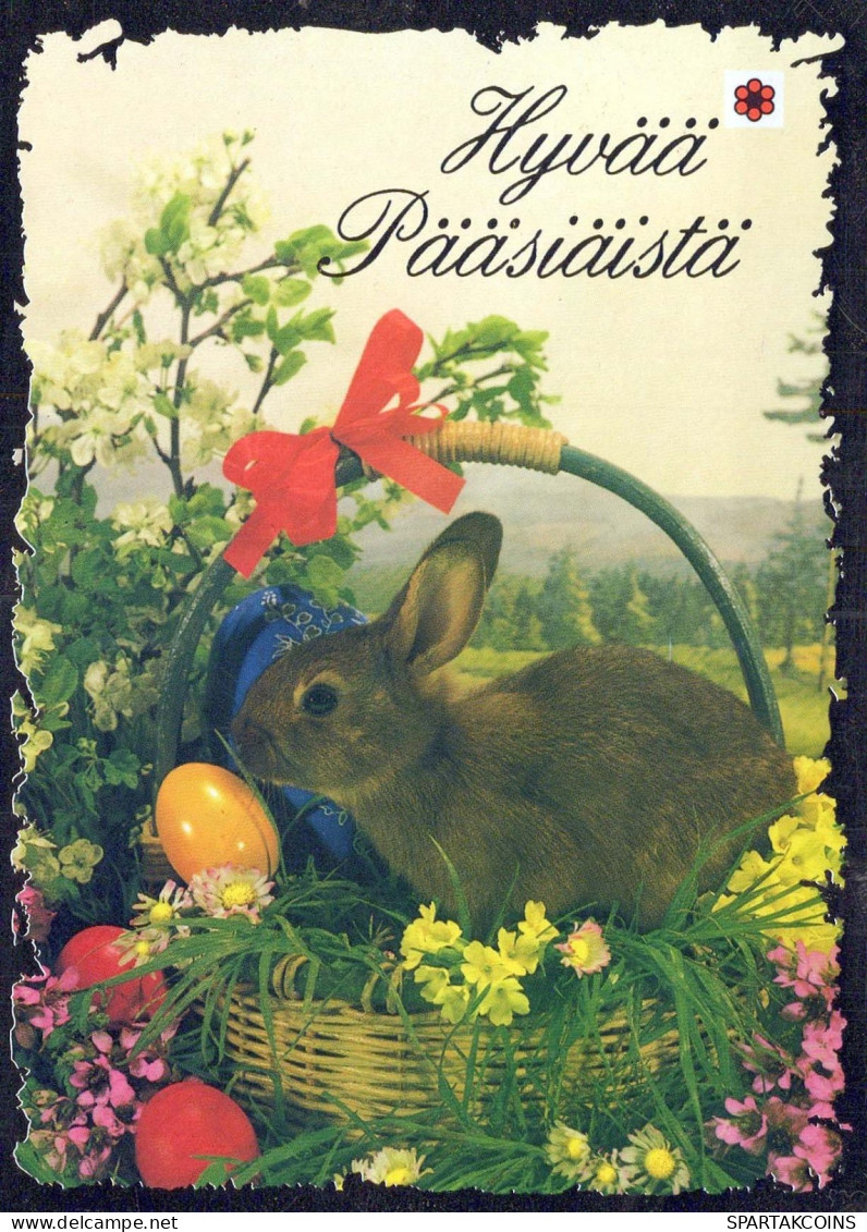 PASCUA CONEJO Vintage Tarjeta Postal CPSM #PBO405.ES - Ostern