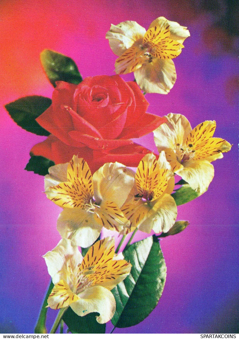 FLORES Vintage Tarjeta Postal CPSM #PAS204.ES - Flores