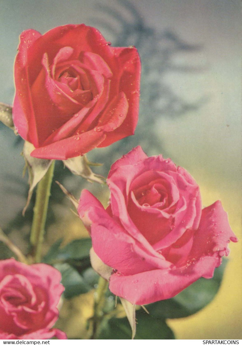 FLORES Vintage Tarjeta Postal CPSM #PAR903.ES - Bloemen