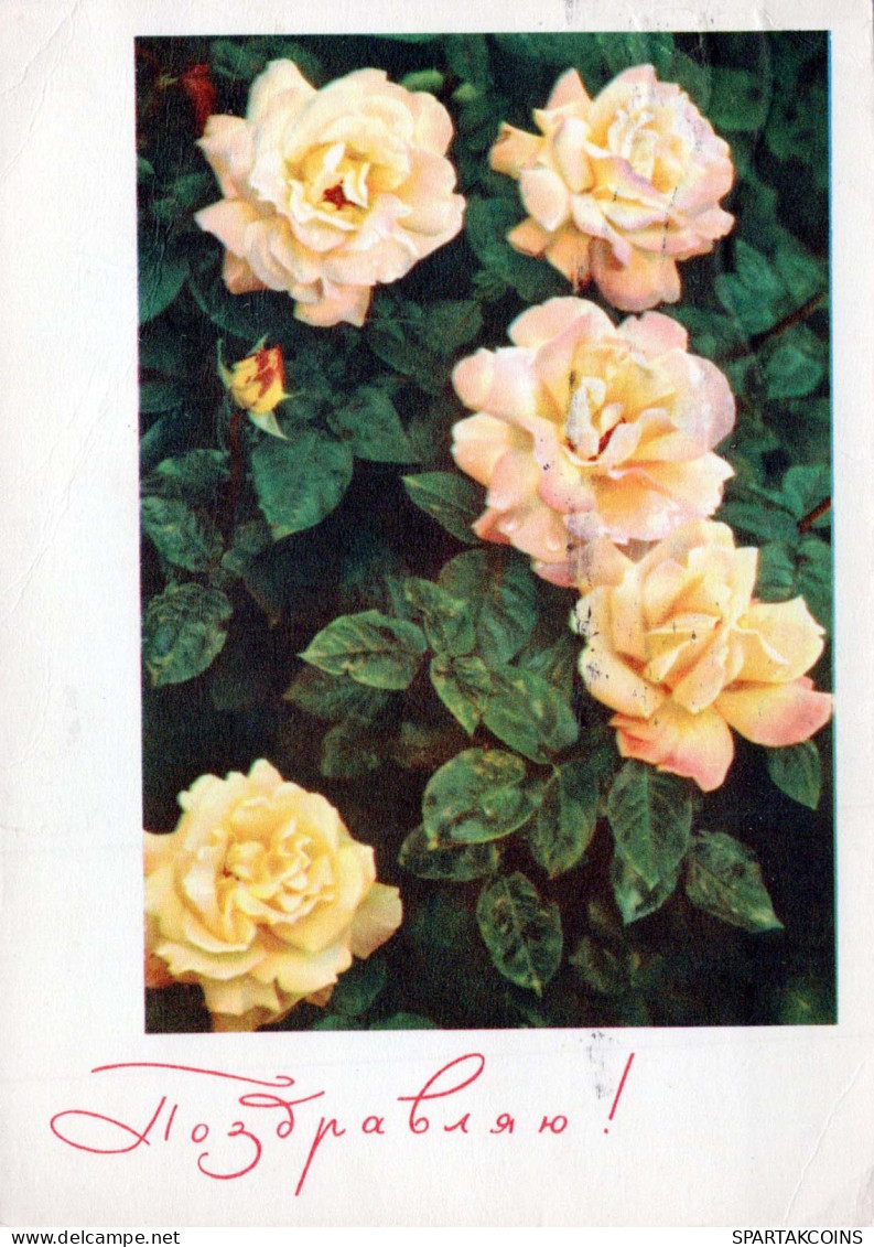 FLORES Vintage Tarjeta Postal CPSM #PAR423.ES - Flores