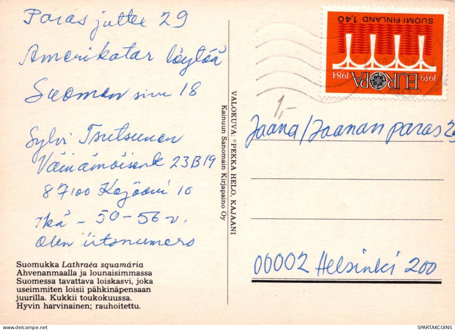 FLORES Vintage Tarjeta Postal CPSM #PAR182.ES - Flores