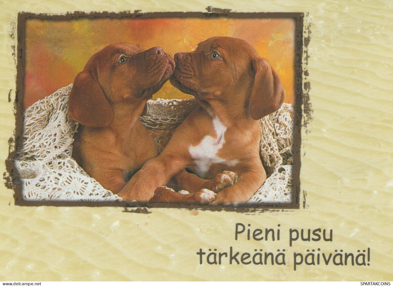 PERRO Animales Vintage Tarjeta Postal CPSM #PAN671.ES - Honden