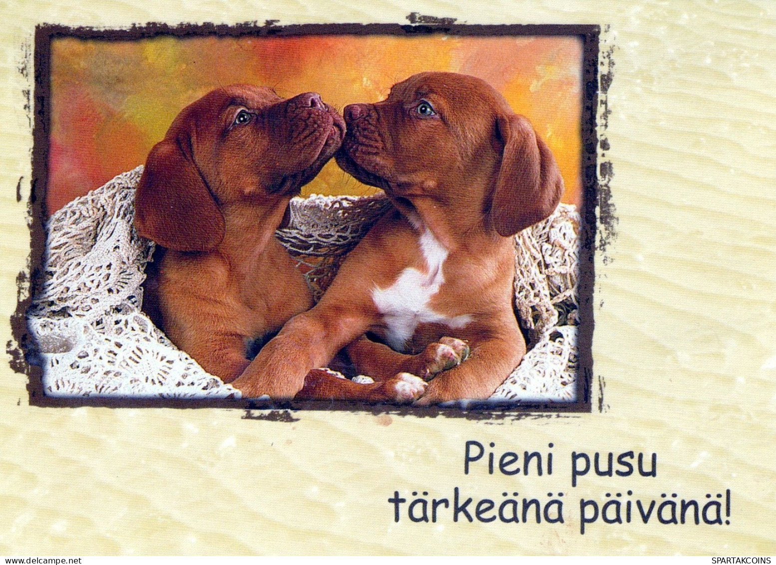 PERRO Animales Vintage Tarjeta Postal CPSM #PAN671.ES - Chiens