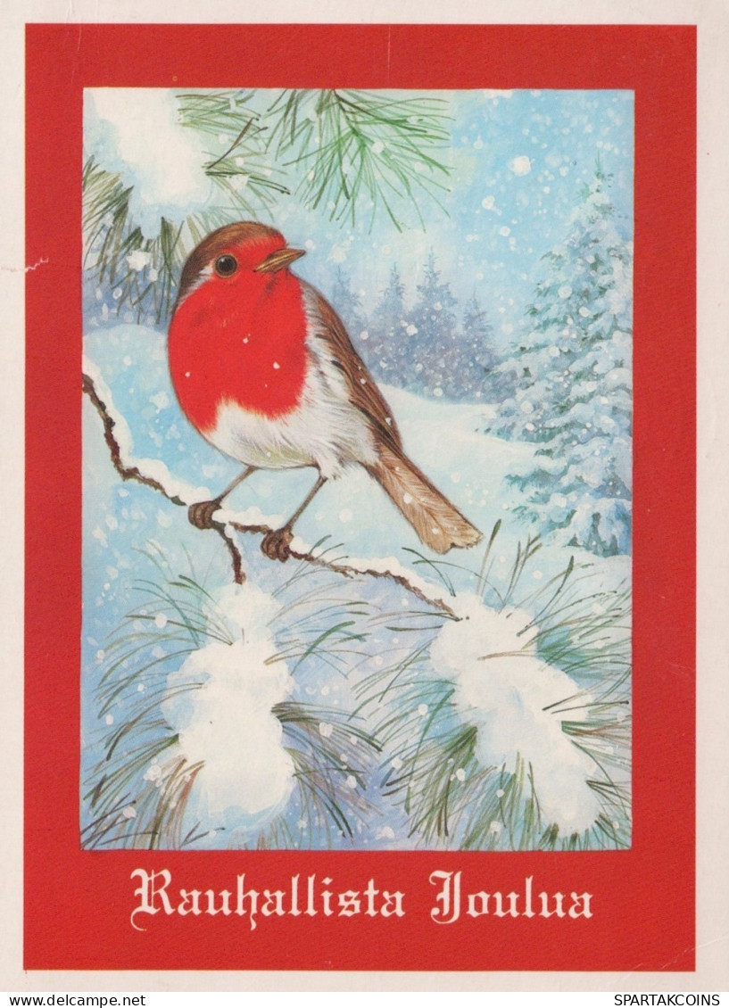 PÁJARO Animales Vintage Tarjeta Postal CPSM #PAN042.ES - Oiseaux