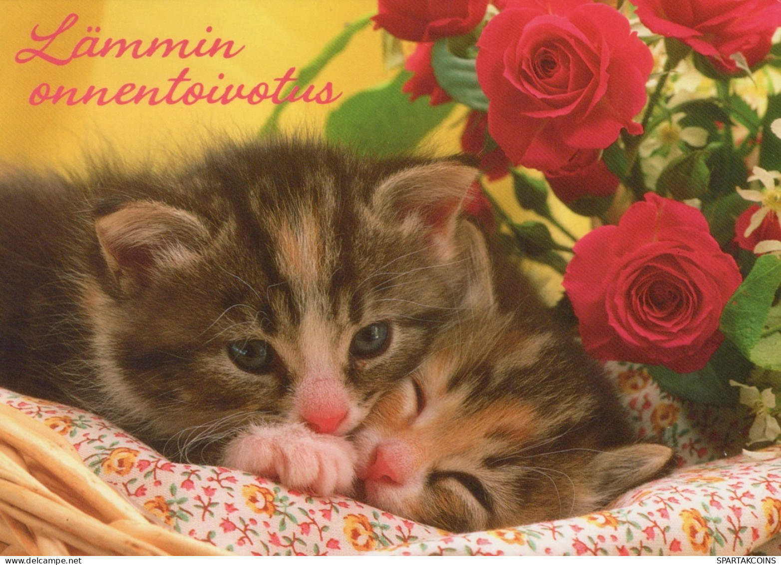 GATO GATITO Animales Vintage Tarjeta Postal CPSM #PAM538.ES - Cats
