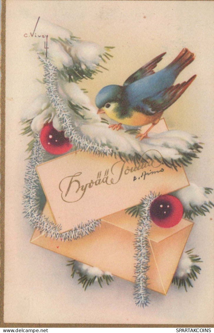 VOGEL Vintage Ansichtskarte Postkarte CPSMPF #PKG968.DE - Birds